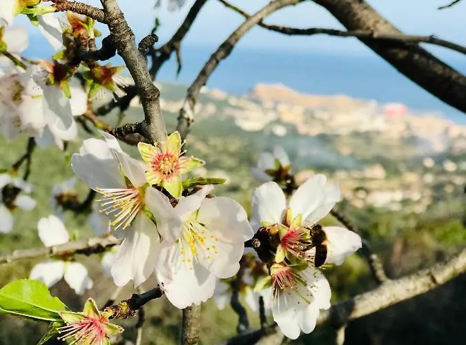 Casa Sant'antone 3*